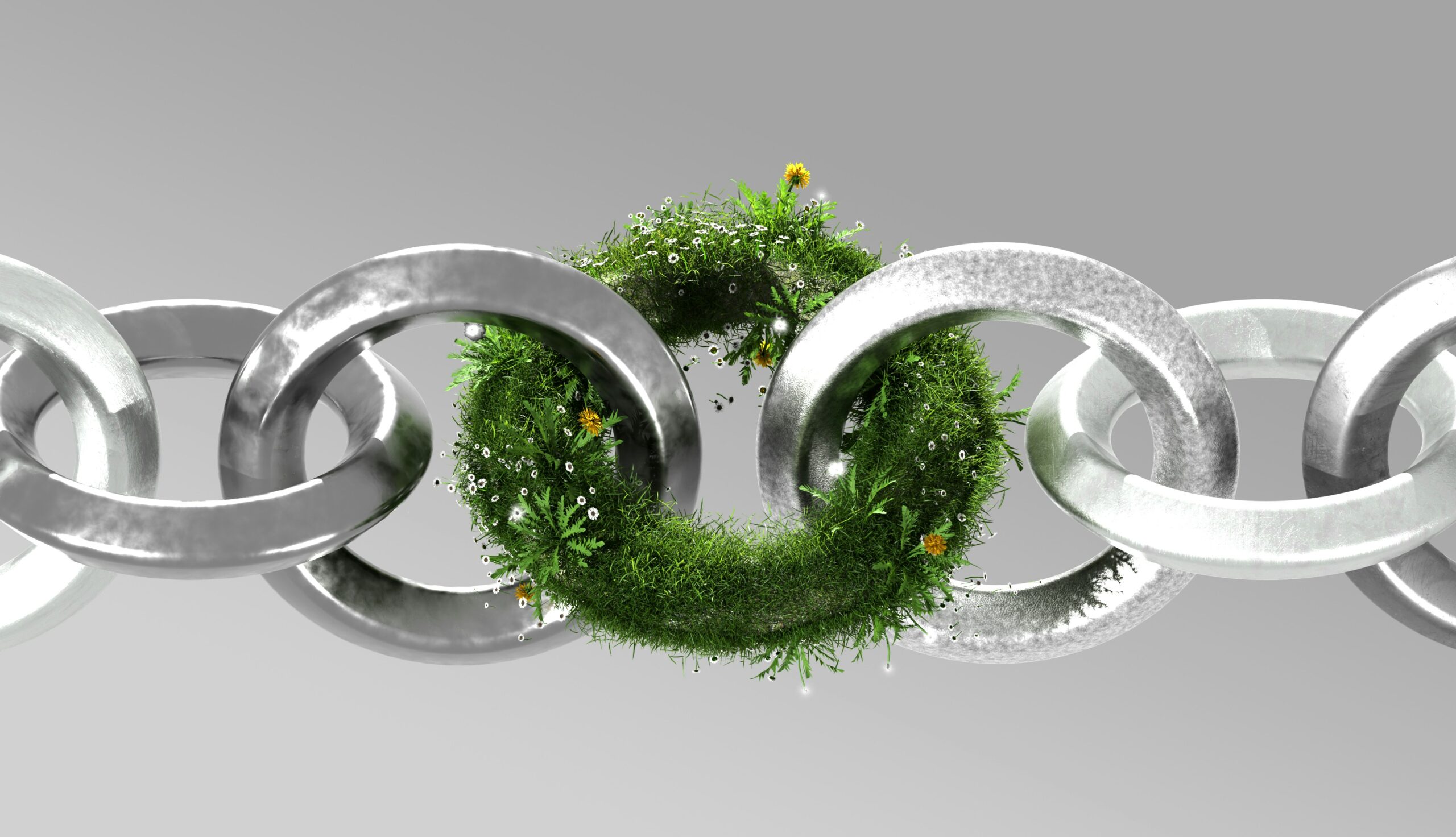 Corporate Disclosure Obligations Under the UAE Law