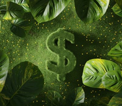 private equity investment law 6