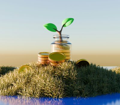 private equity investment law 8